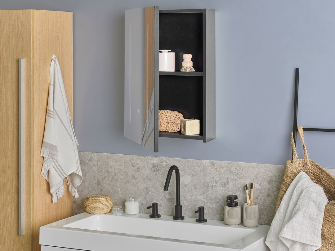 Bathroom Wall Mounted Mirror Cabinet LED 40 cm 60 cm Black Cameron