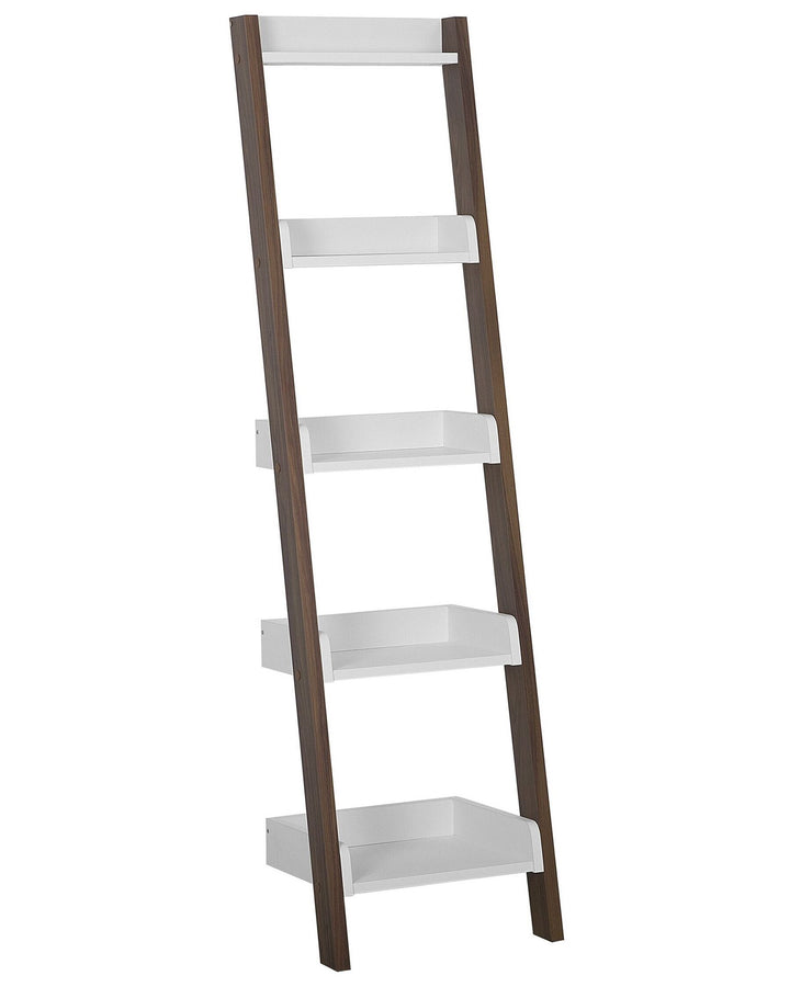 Leaning ladder shelf with five white shelves on a white background