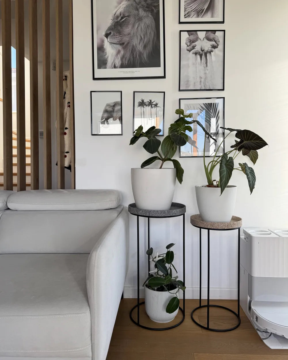 Modern living room with white sofa, plant stands, and wall art.