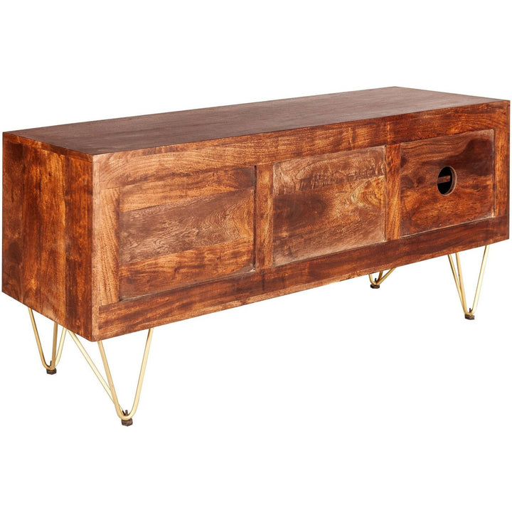 Dark Gold Plasma Media Unit