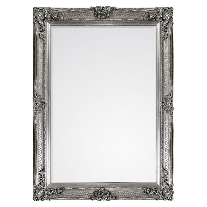 Alauni Rectangle Silver Frame Mirror