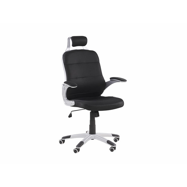 Lourdes Mesh Executive Chair