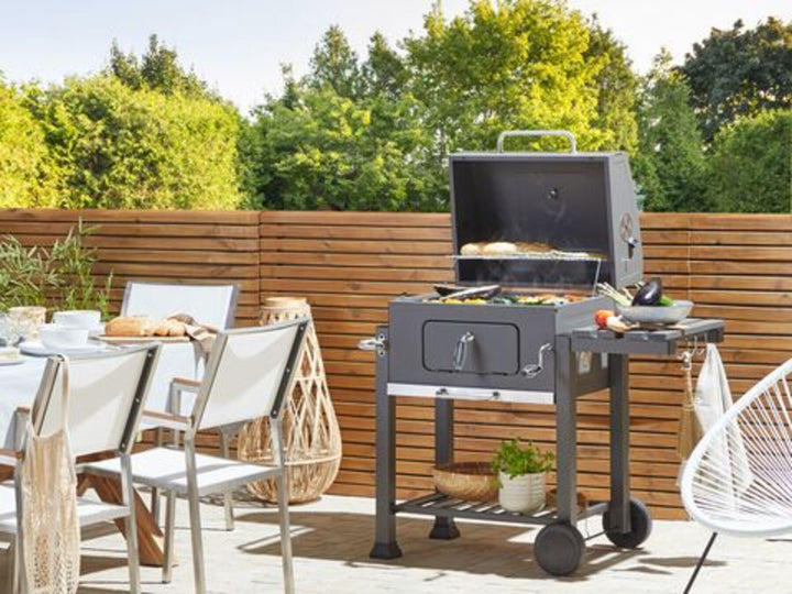 Charcoal BBQ Grill Grey Pavlof